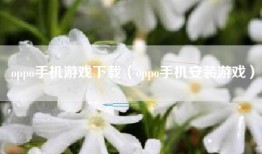 oppo手机游戏下载（oppo手机安装游戏）