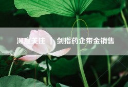 深度关注 ｜ 剑指药企带金销售