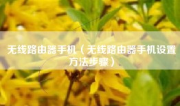 无线路由器手机（无线路由器手机设置方法步骤）