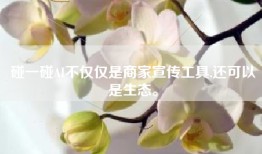 碰一碰AI不仅仅是商家宣传工具,还可以是生态。