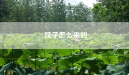 饺子怎么来的