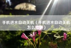 手机进水自动关机（手机进水自动关机怎么回事）
