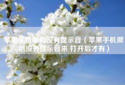 苹果手机微信没有提示音（苹果手机微信没有提示音来 打开后才有）