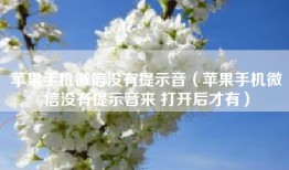 苹果手机微信没有提示音（苹果手机微信没有提示音来 打开后才有）