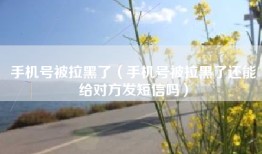 手机号被拉黑了（手机号被拉黑了还能给对方发短信吗）