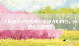 手机照片不舍得删又不想占用内存，应该怎么整理？