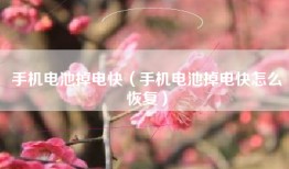 手机电池掉电快（手机电池掉电快怎么恢复）