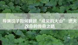 导演饺子如何翻越“成见的大山” 逆天改命的传奇之路