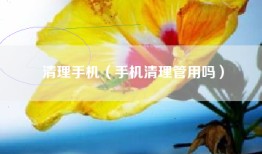 清理手机（手机清理管用吗）