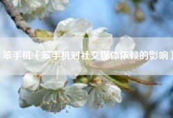 笨手机（笨手机对社交媒体依赖的影响）