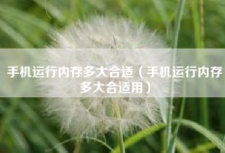 手机运行内存多大合适（手机运行内存多大合适用）