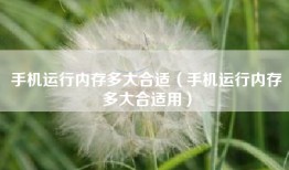 手机运行内存多大合适(手机运行内存多大合适用)