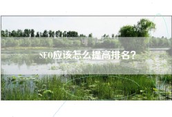 SEO应该怎么提高排名？