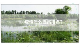 SEO应该怎么提高排名？