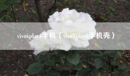 vivoxplay6手机（vivoXplay6手机壳）