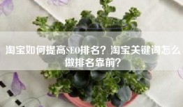 淘宝如何提高SEO排名？淘宝关键词怎么做排名靠前？