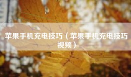 苹果手机充电技巧（苹果手机充电技巧视频）