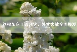 刘强东向王兴开火，外卖大战全面爆发