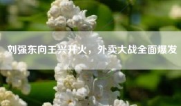 刘强东向王兴开火，外卖大战全面爆发