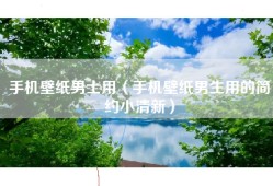 手机壁纸男士用（手机壁纸男生用的简约小清新）