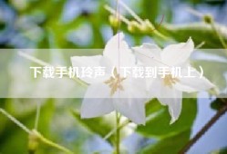 下载手机玲声（下载到手机上）
