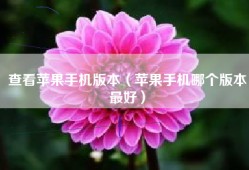 查看苹果手机版本（苹果手机哪个版本最好）