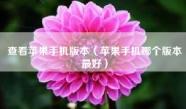 查看苹果手机版本（苹果手机哪个版本最好）