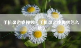 手机录游戏视频（手机录游戏视频怎么录）