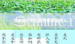百度推广怎么收费标准案例