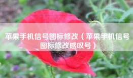 苹果手机信号图标修改（苹果手机信号图标修改感叹号）