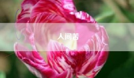 人间苦
