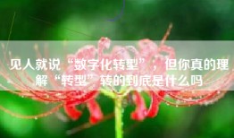 见人就说“数字化转型”，但你真的理解“转型”转的到底是什么吗
