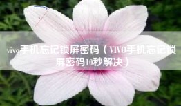 vivo手机忘记锁屏密码(VIVO手机忘记锁屏密码10秒解决)