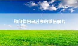 如何找回已过期的微信图片