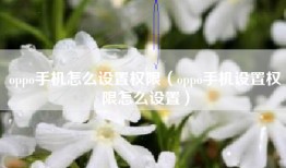 oppo手机怎么设置权限(oppo手机设置权限怎么设置)