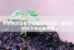 分类推进国有企业数字化转型，推动数字经济高质量发展