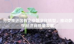分类推进国有企业数字化转型，推动数字经济高质量发展