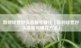 如何经营好头条账号赚钱（如何经营好头条账号赚钱方法）