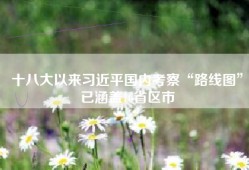 十八大以来习近平国内考察“路线图”已涵盖16省区市