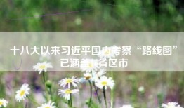 十八大以来习近平国内考察“路线图”已涵盖16省区市