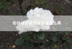 会计从业资格证年审怎么弄