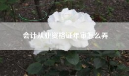 会计从业资格证年审怎么弄