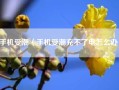 手机受潮（手机受潮充不了电怎么办）