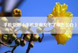 手机受潮（手机受潮充不了电怎么办）