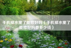 手机掉水里了能修好吗（手机掉水里了能修好吗要多少钱）