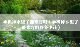 手机掉水里了能修好吗(手机掉水里了能修好吗要多少钱)