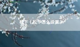 松下（松下怎么设置）