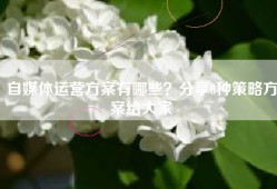 自媒体运营方案有哪些？分享8种策略方案给大家