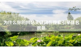 为什么你的网站关键词在搜索引擎排名很低