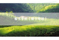 爱卡手机（爱卡电话）